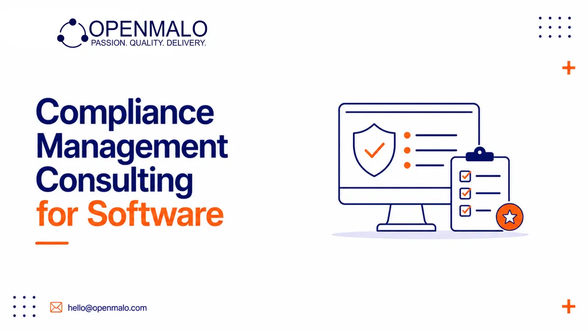 Compliance Management Consulting for Software